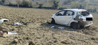 Investe lupo e finisce fuoristrada: 30enne salvato dall’alert del suo smartwatch